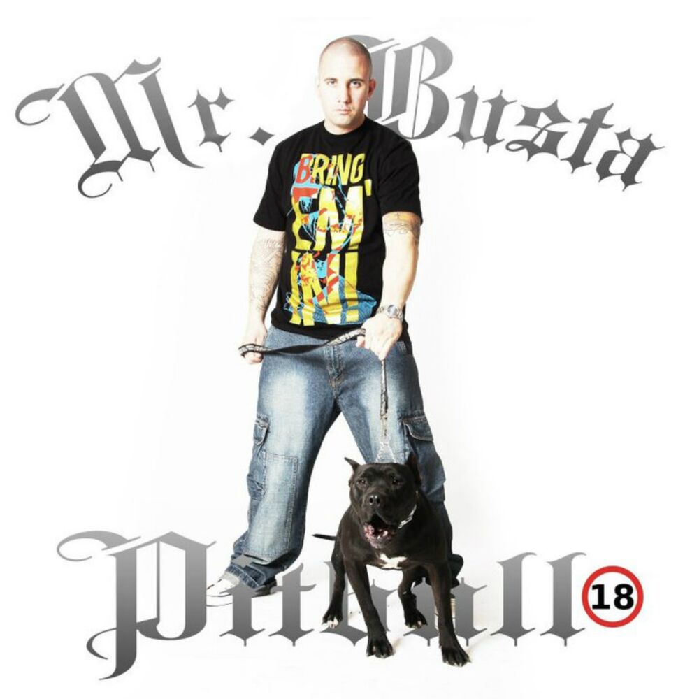 Picture of Pitbull