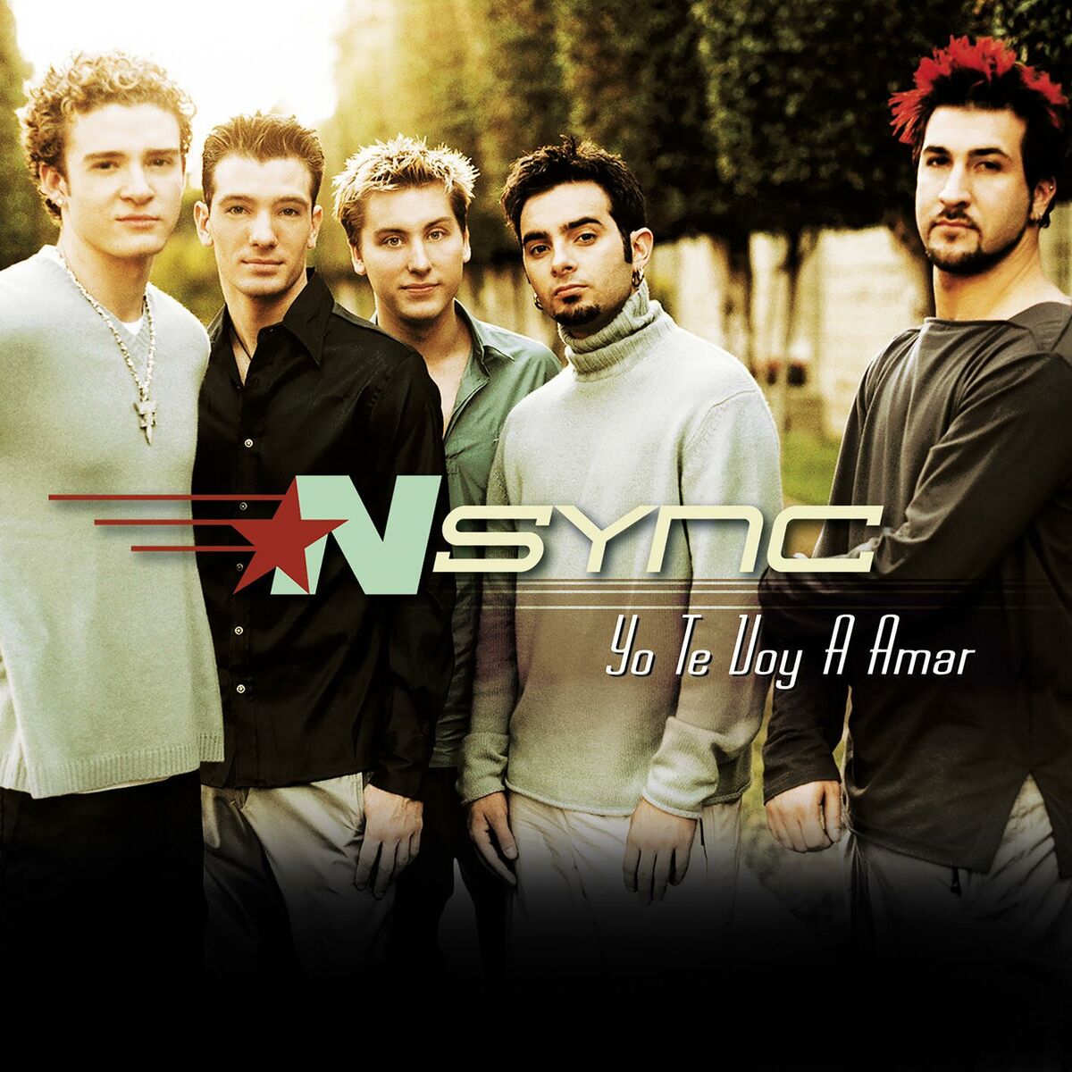 Album cover of Yo Te Voy A Amar (This I Promise You)