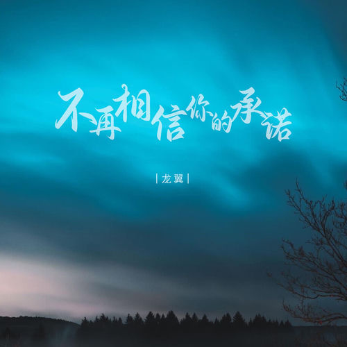 不再相信你的承诺