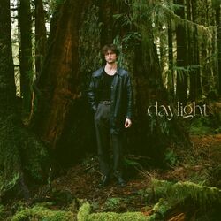 Cover of Daylight