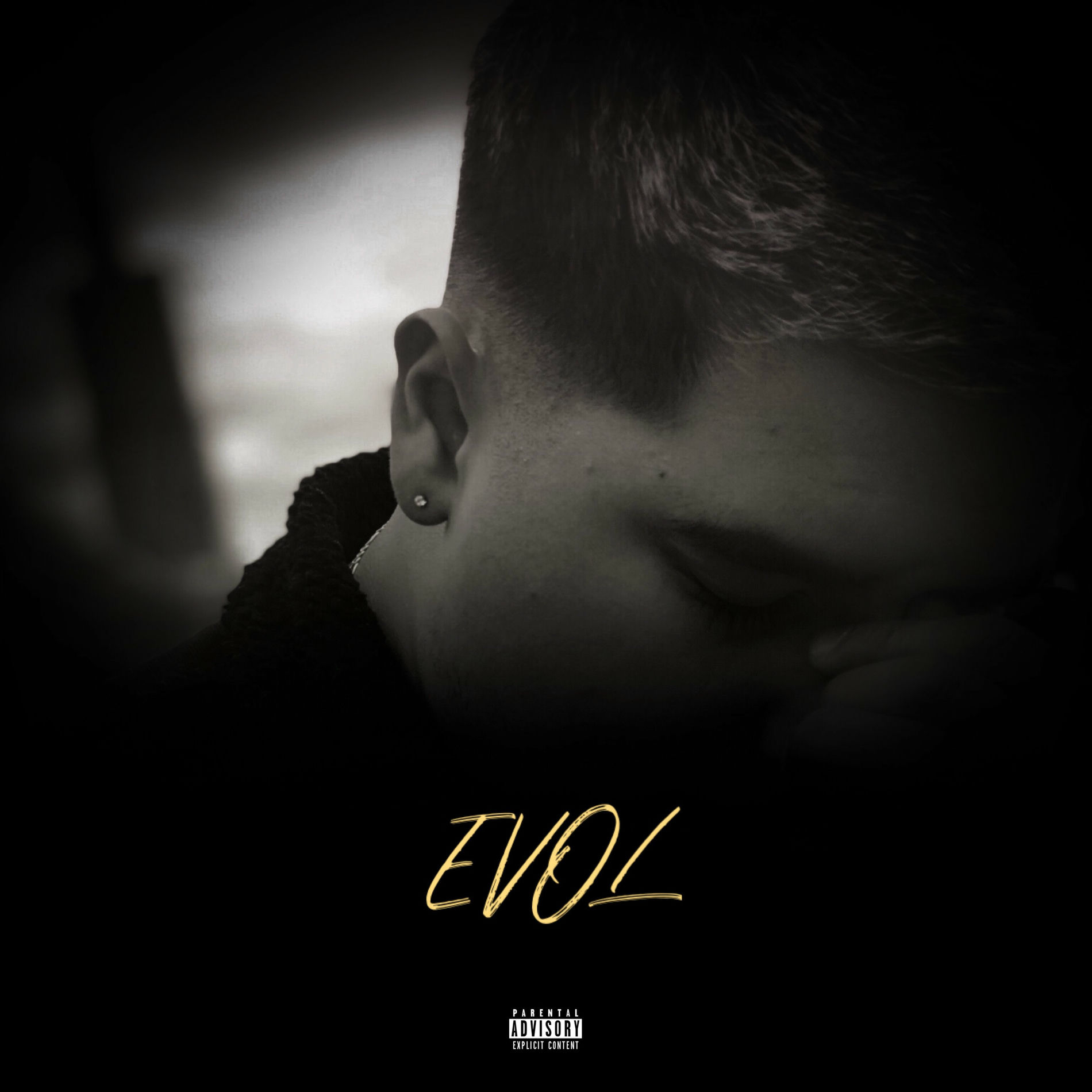 Album cover of EVOL (DELUXE)