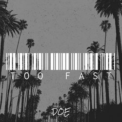 Cover of Too Fast