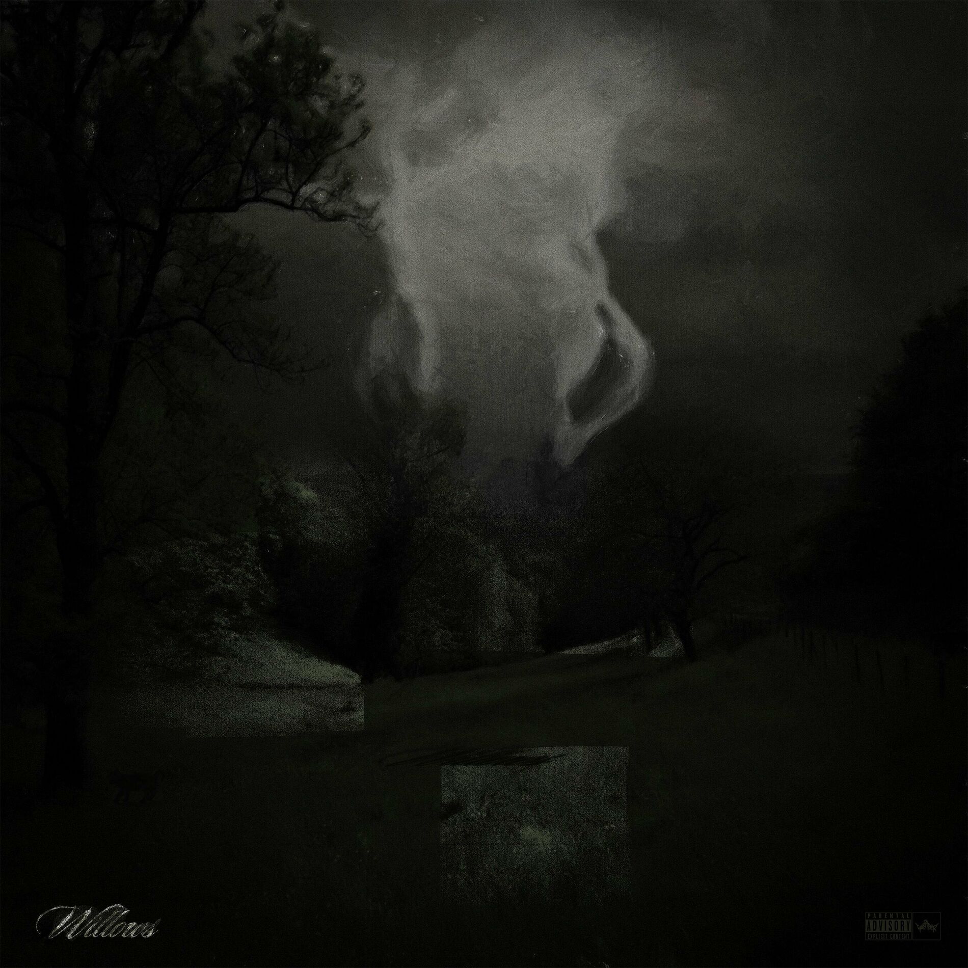 Album cover of Willows