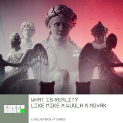 Cover of What is Reality