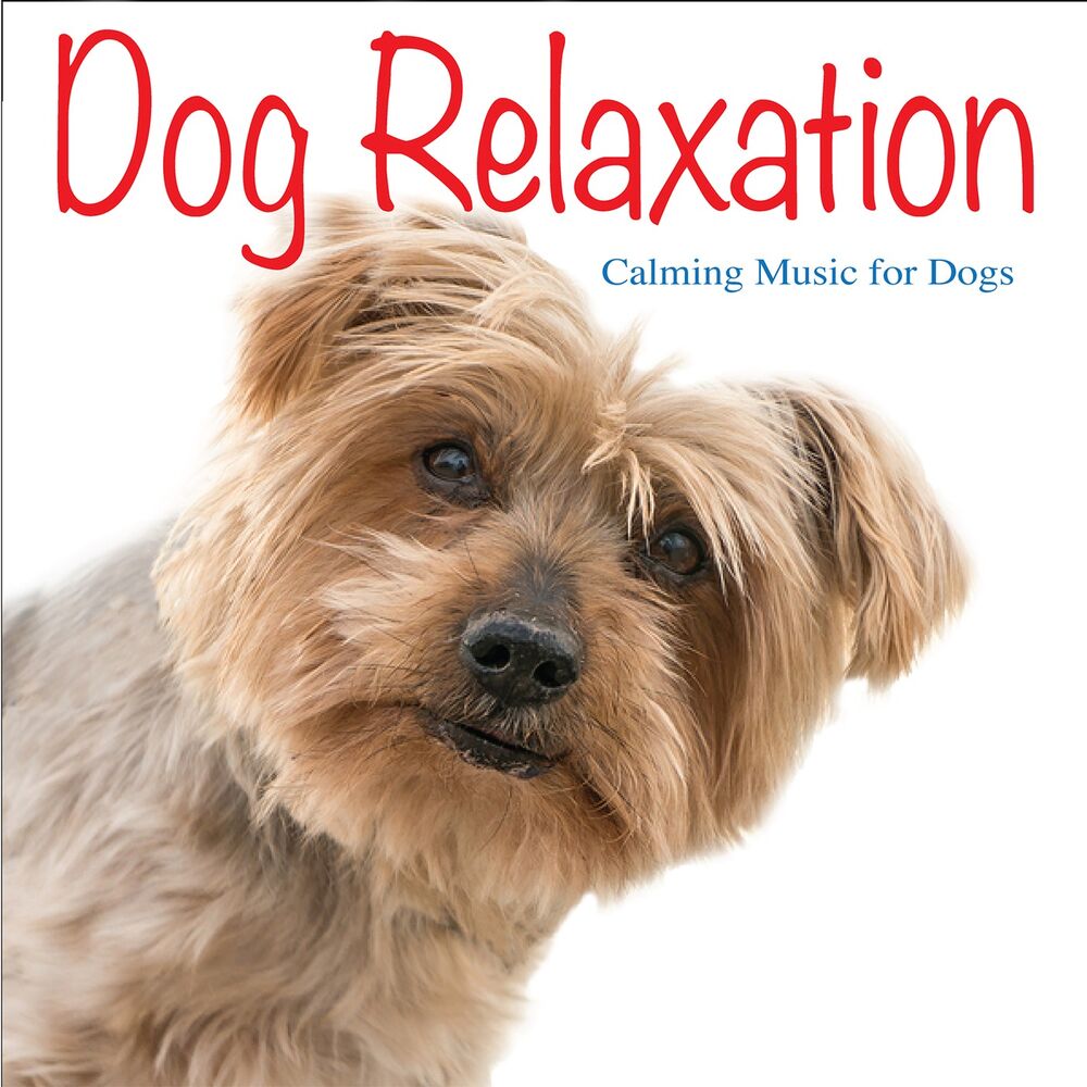 Picture of Dog Relaxation: Calming Music for Dogs
