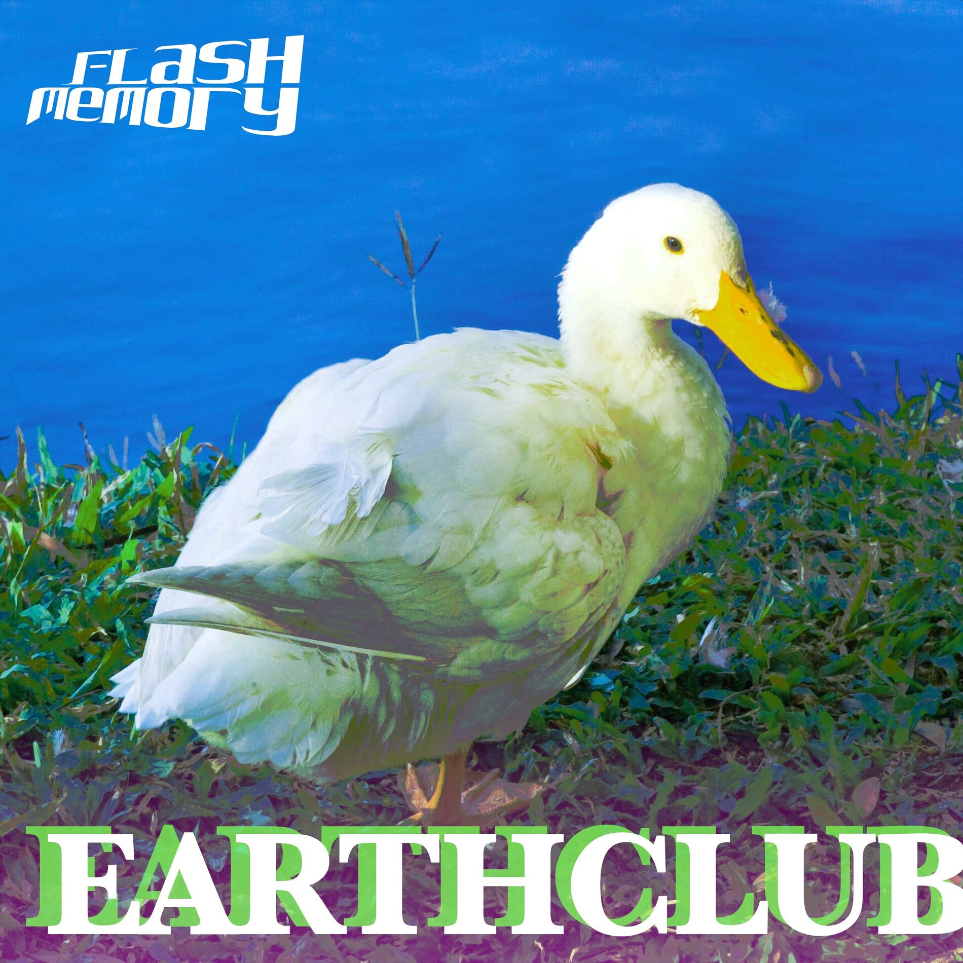 Album cover of Earthclub