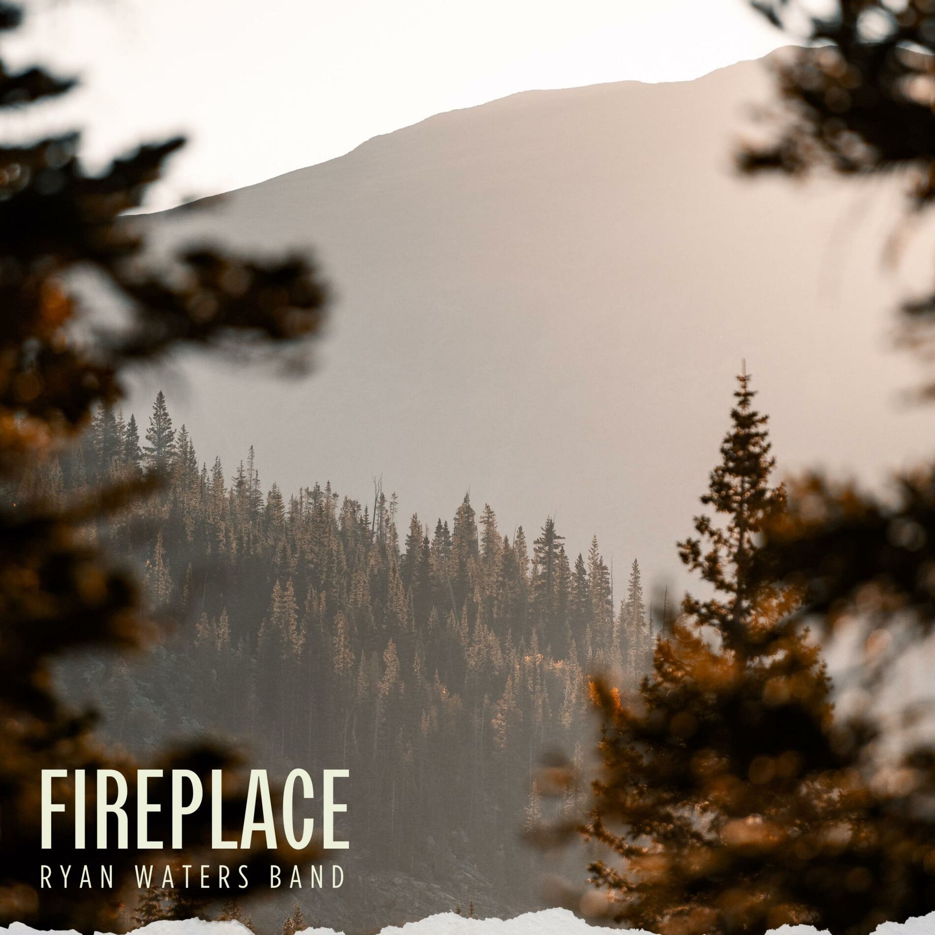 Album cover of Fireplace