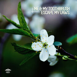 Cover of Escape My Laws
