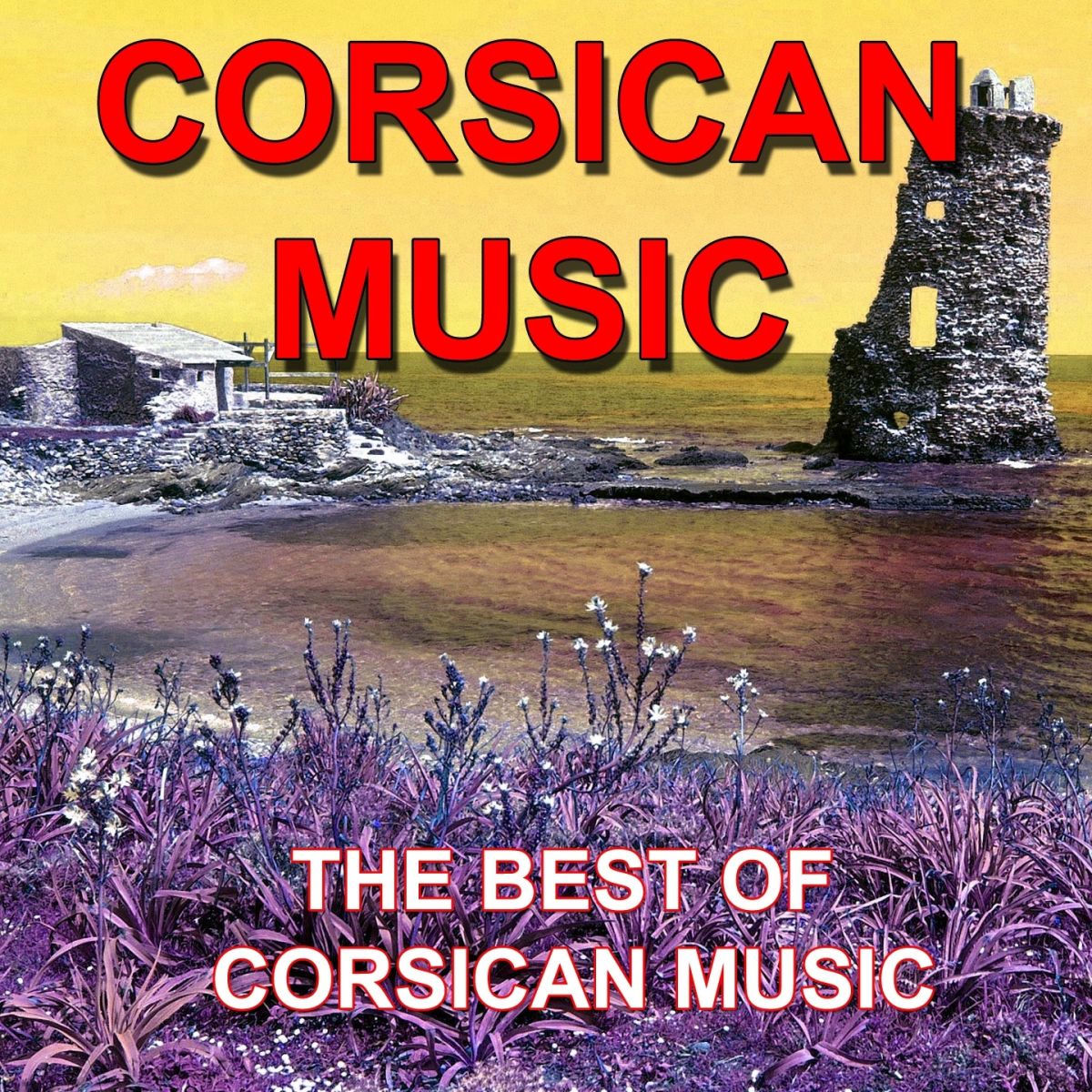 Album cover of Corsican Music (The Best of Corsican Music)