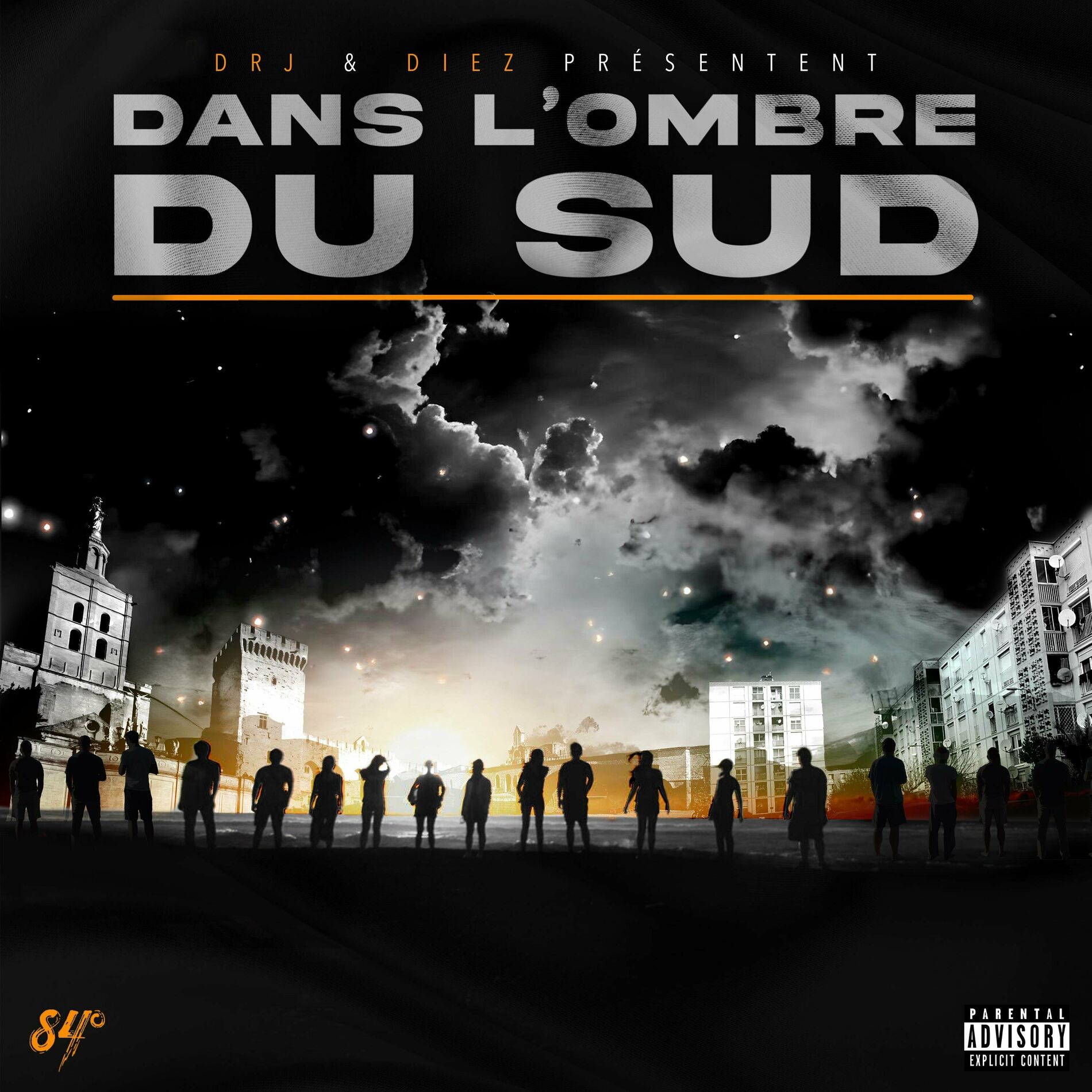 Album cover of Dans l'ombre du sud