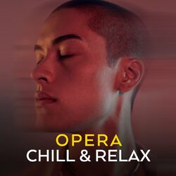 Cover of Opera Chill & Relax