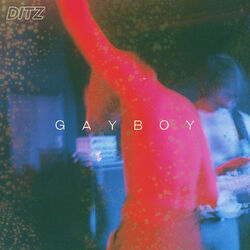 Cover of Gayboy