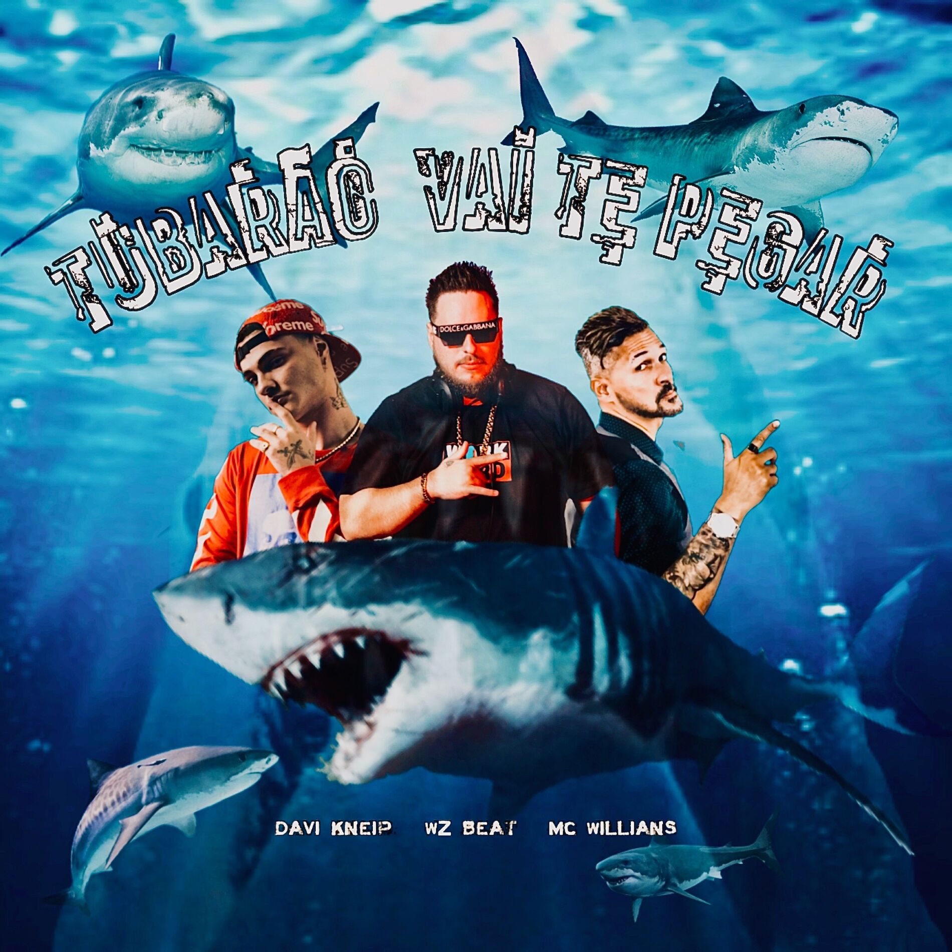 Album cover of Tubarão Vai Te Pegar