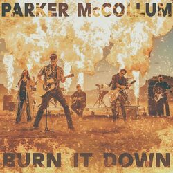 Cover of Burn It Down (Radio Edit)