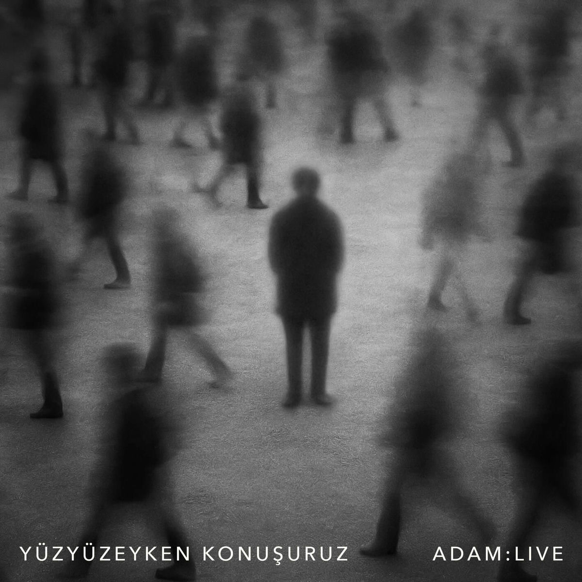 Album cover of Adam: Live