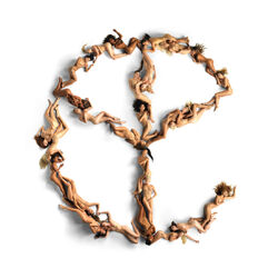 Cover of Blood For Mercy