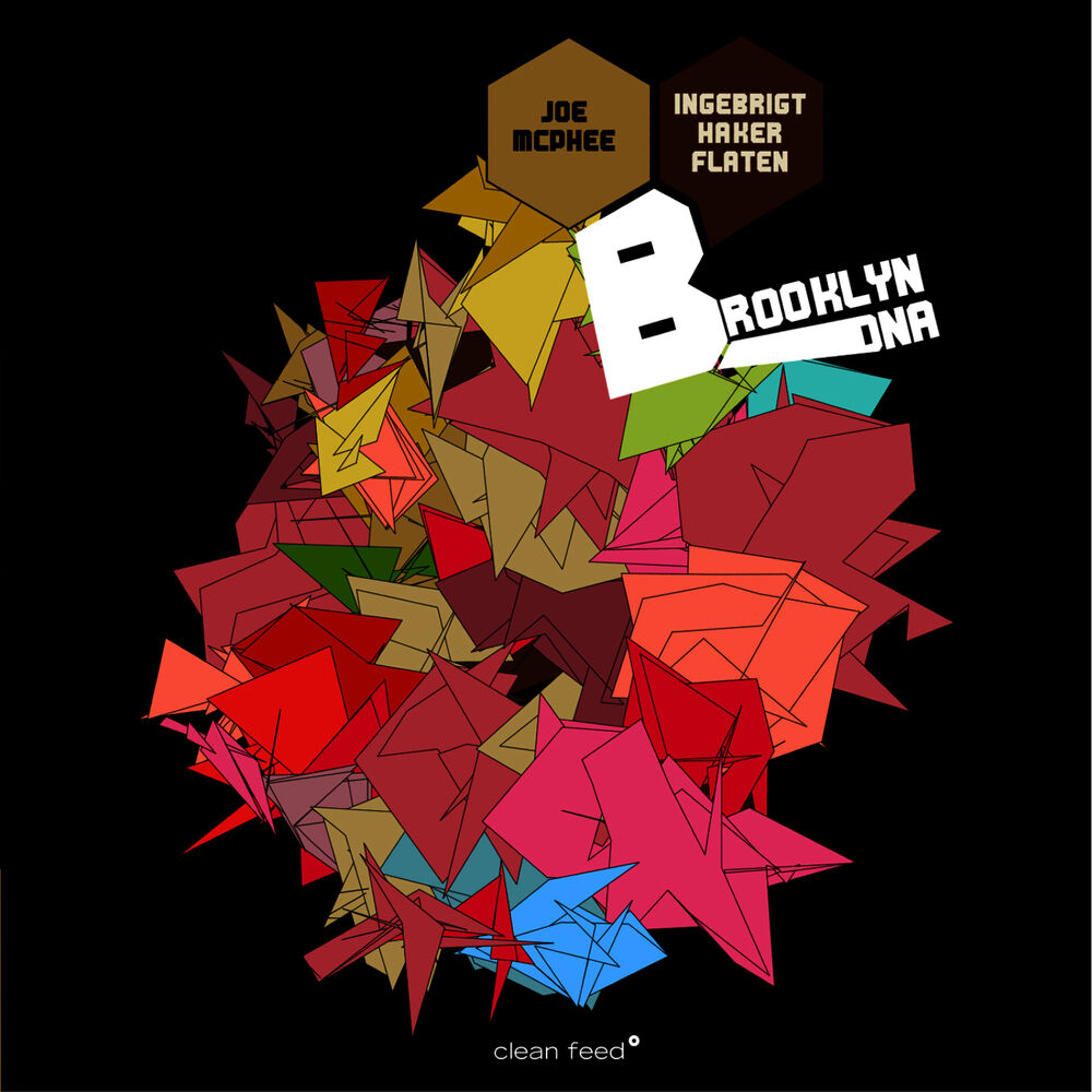 Picture of Brooklyn DNA