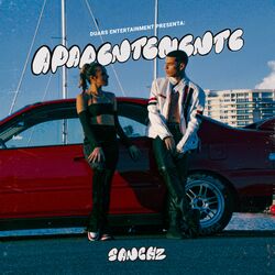 music cover