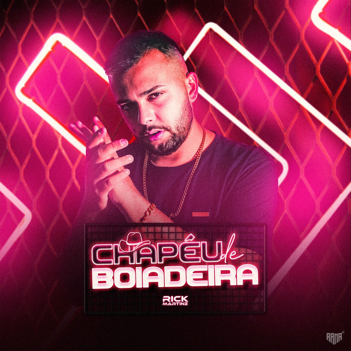 Album cover of Chapéu De Boiadeira