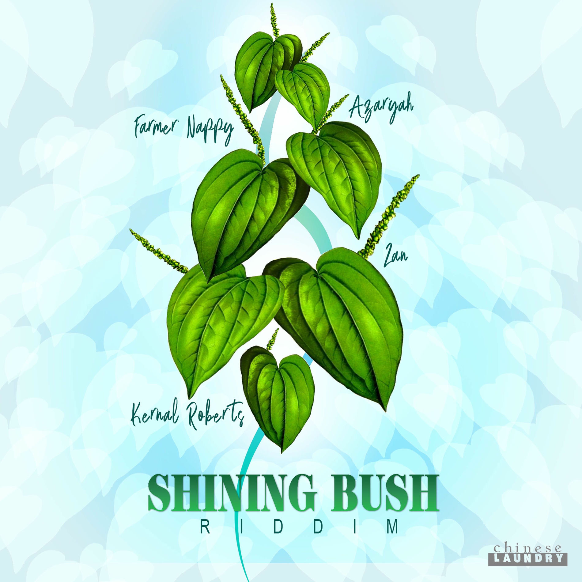 Album cover of Shining Bush Riddim