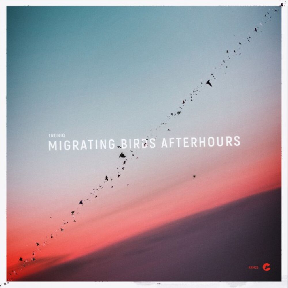 Picture of Migrating Birds Afterhours