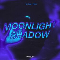 Cover of Moonlight Shadow (Techno)