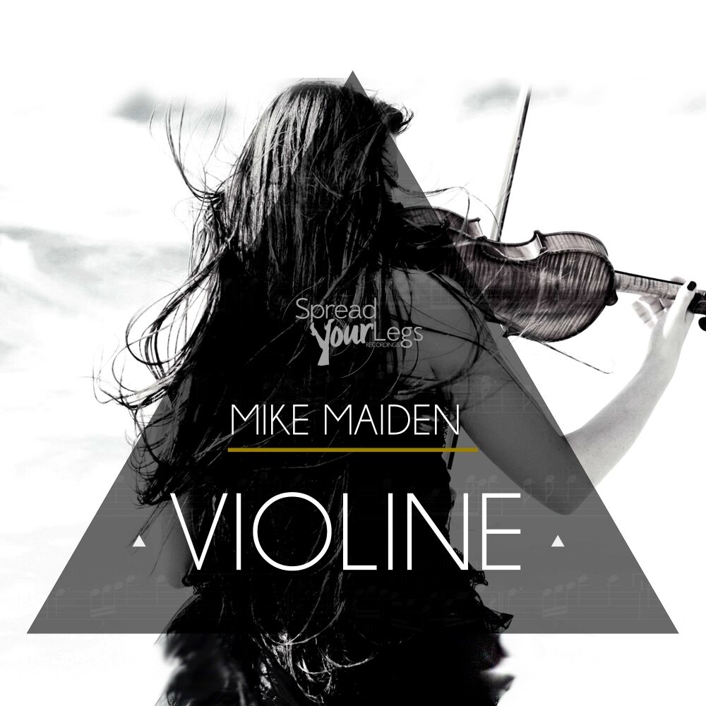 Picture of Violine