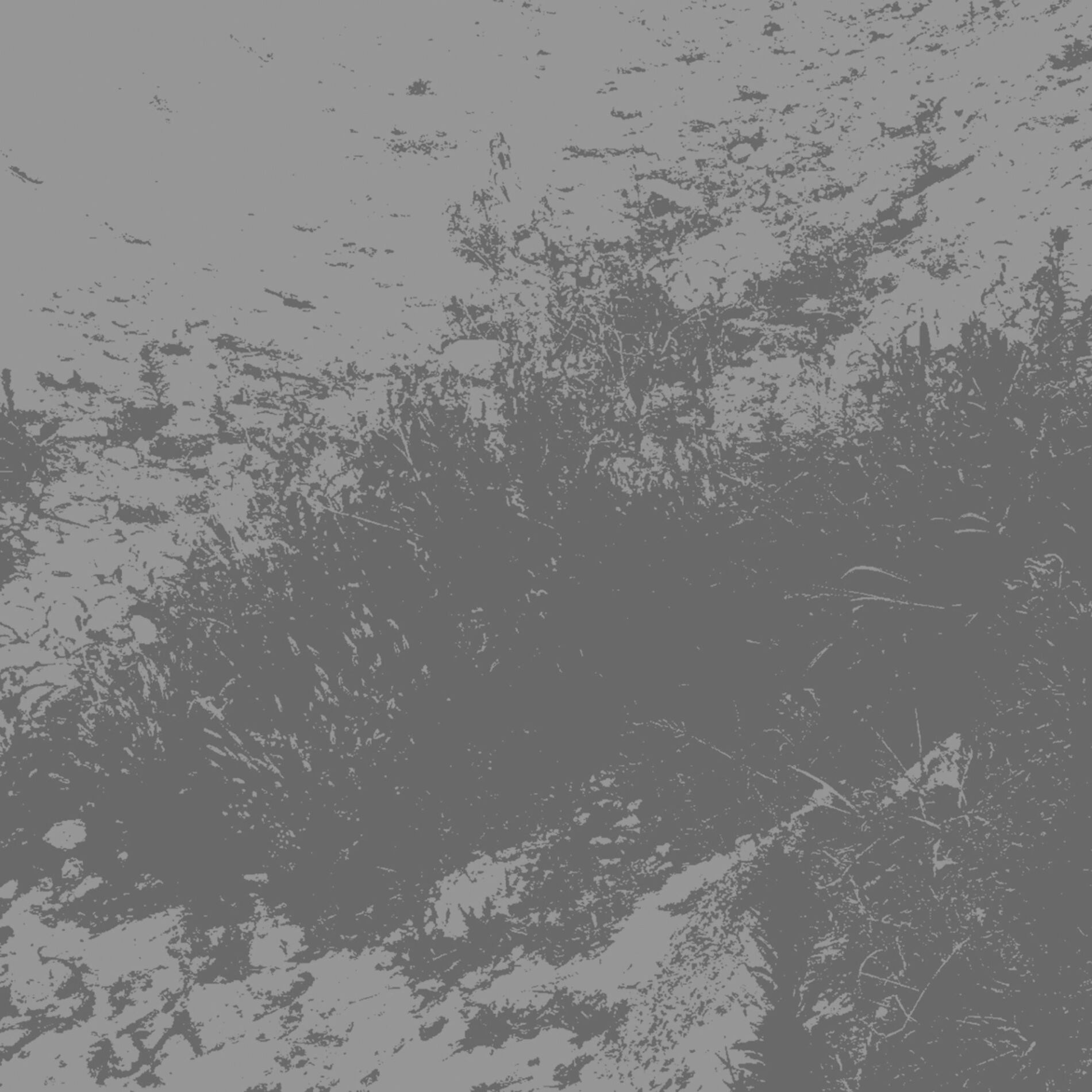 Album cover of In a Past Life