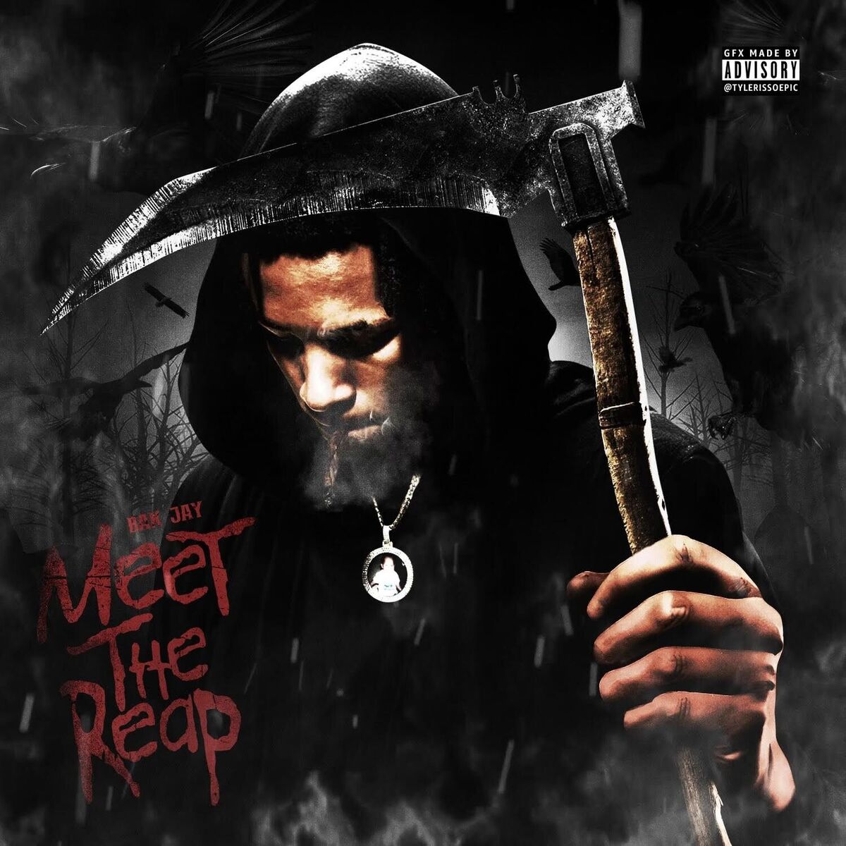 Album cover of Meet The Reap