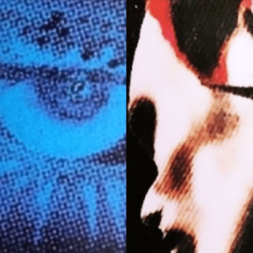INFATUATED/ROTTEN (feat. NETPARASITE)