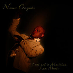 Cover of I AM NOT A MUSICIAN, I AM MUSIC