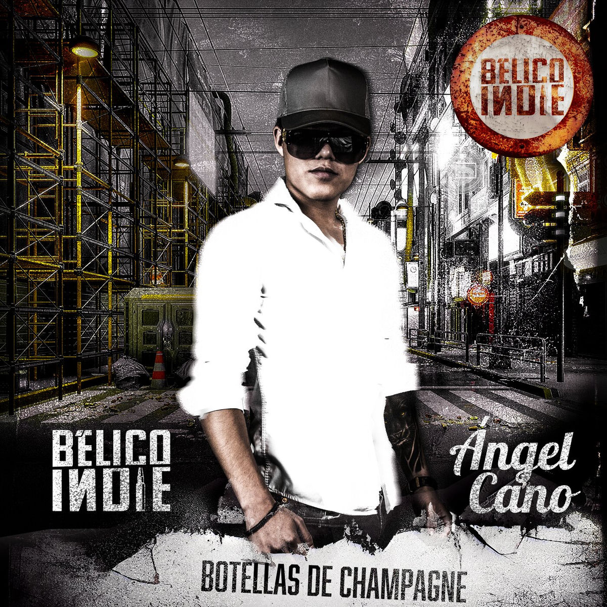 Album cover of Botellas De Champagne