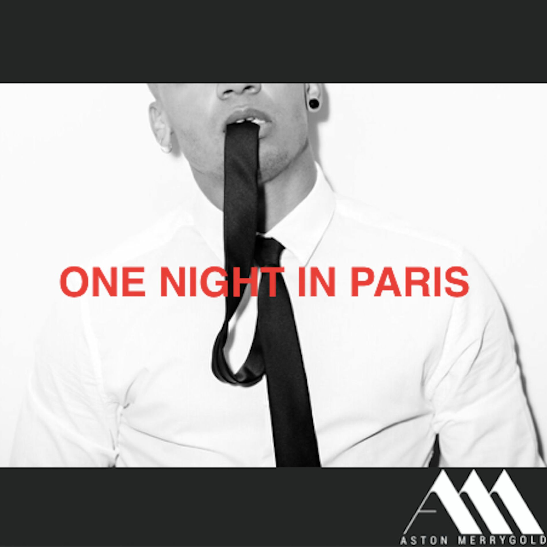 Album cover of One Night In Paris