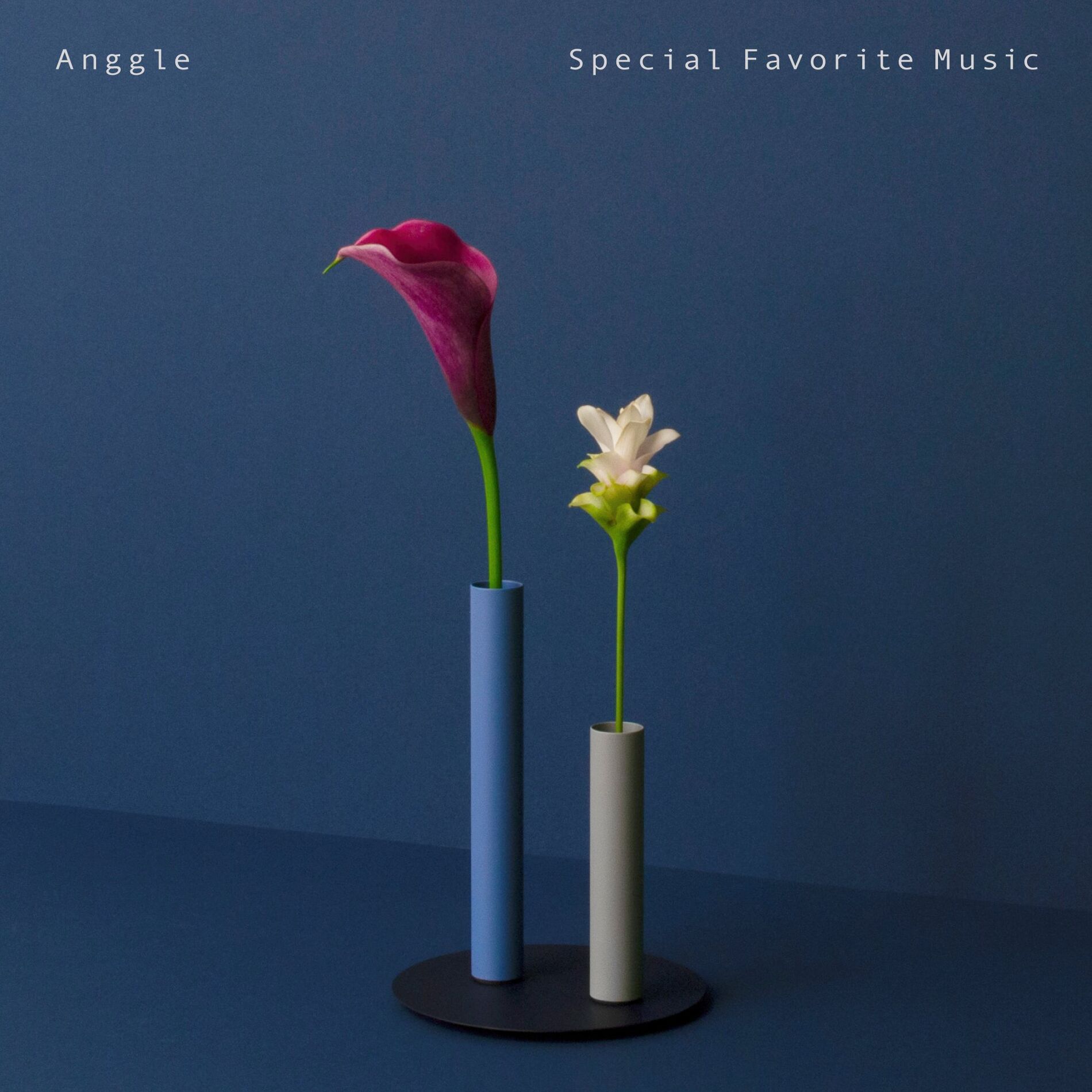 Album cover of Anggle