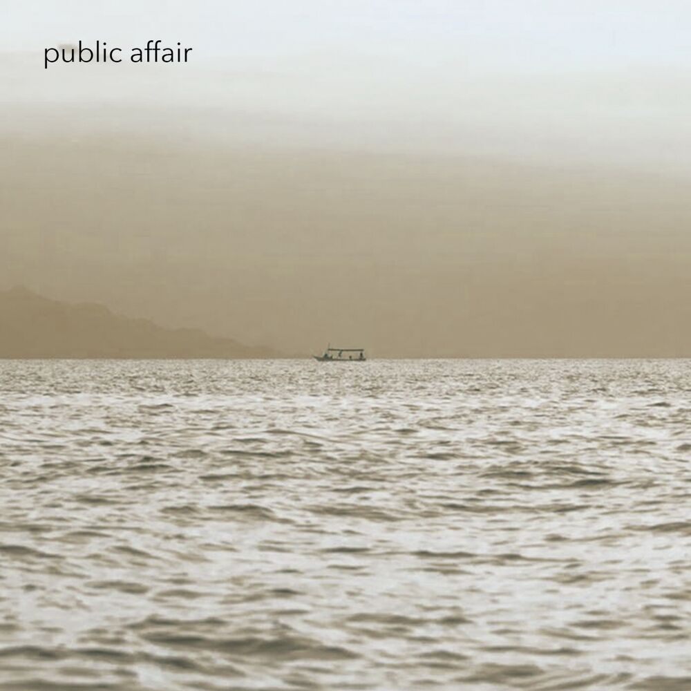 Picture of Introducing the Public Affair