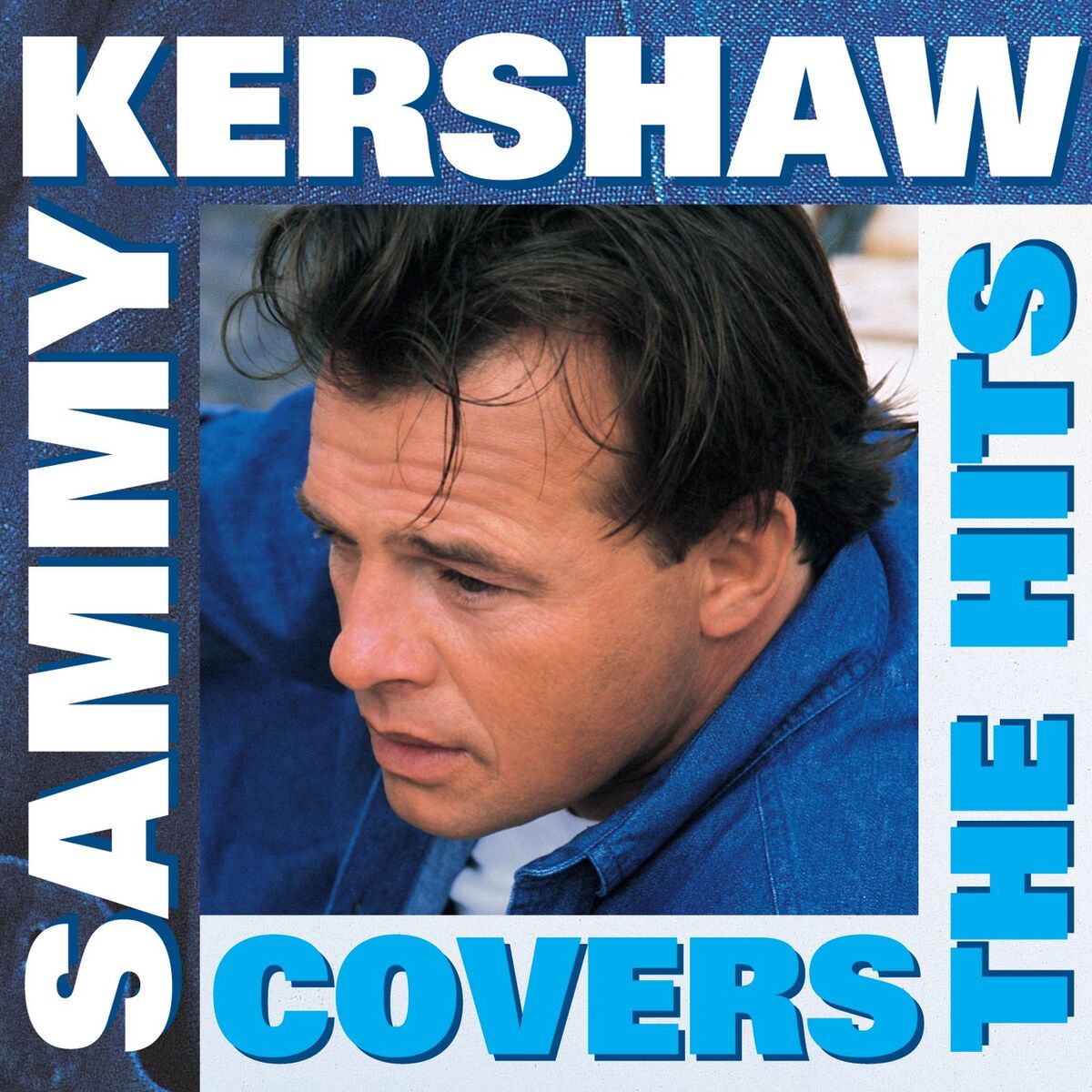 Album cover of Covers The Hits