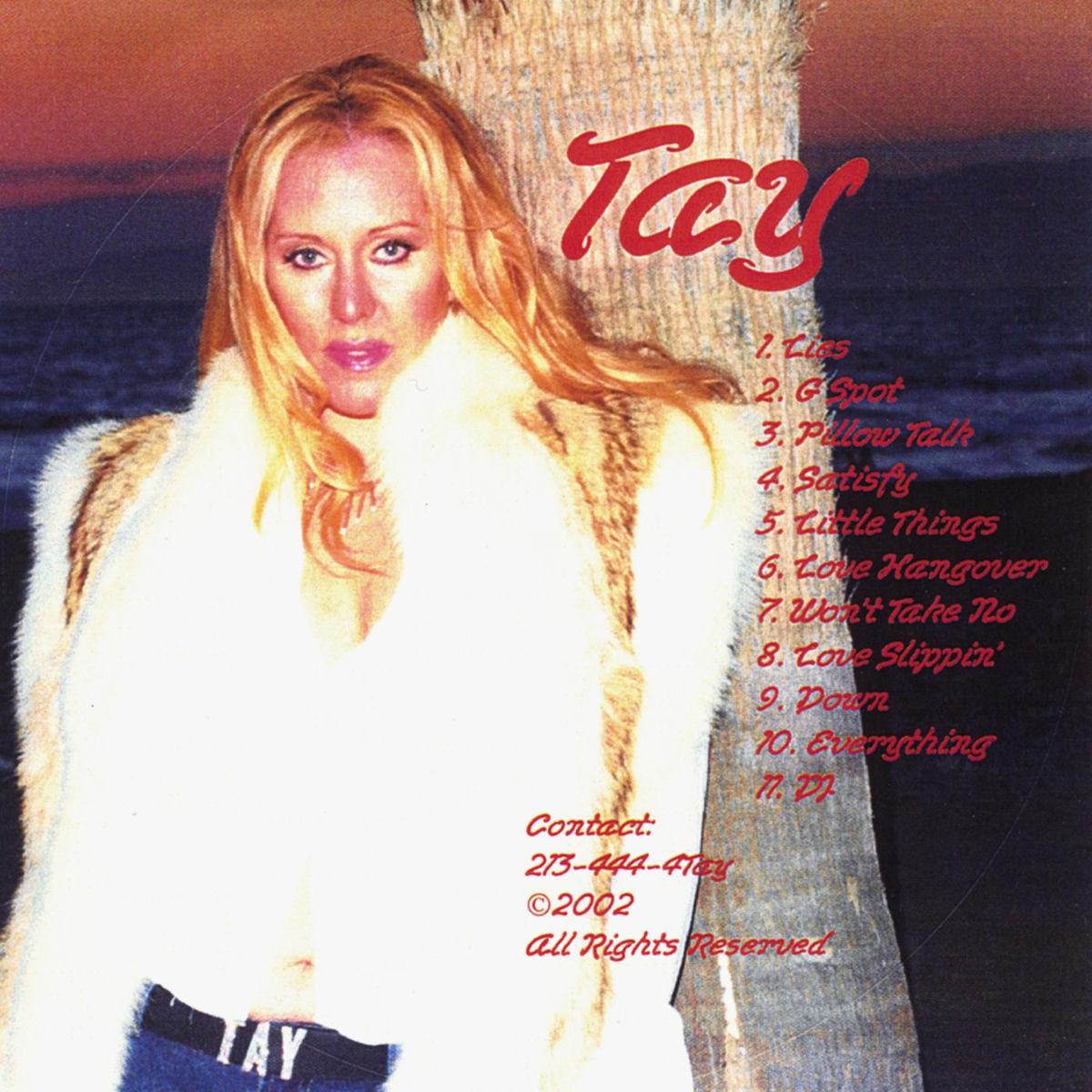 Album cover of TAY