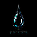 Tears (feat. Shawn Clover)