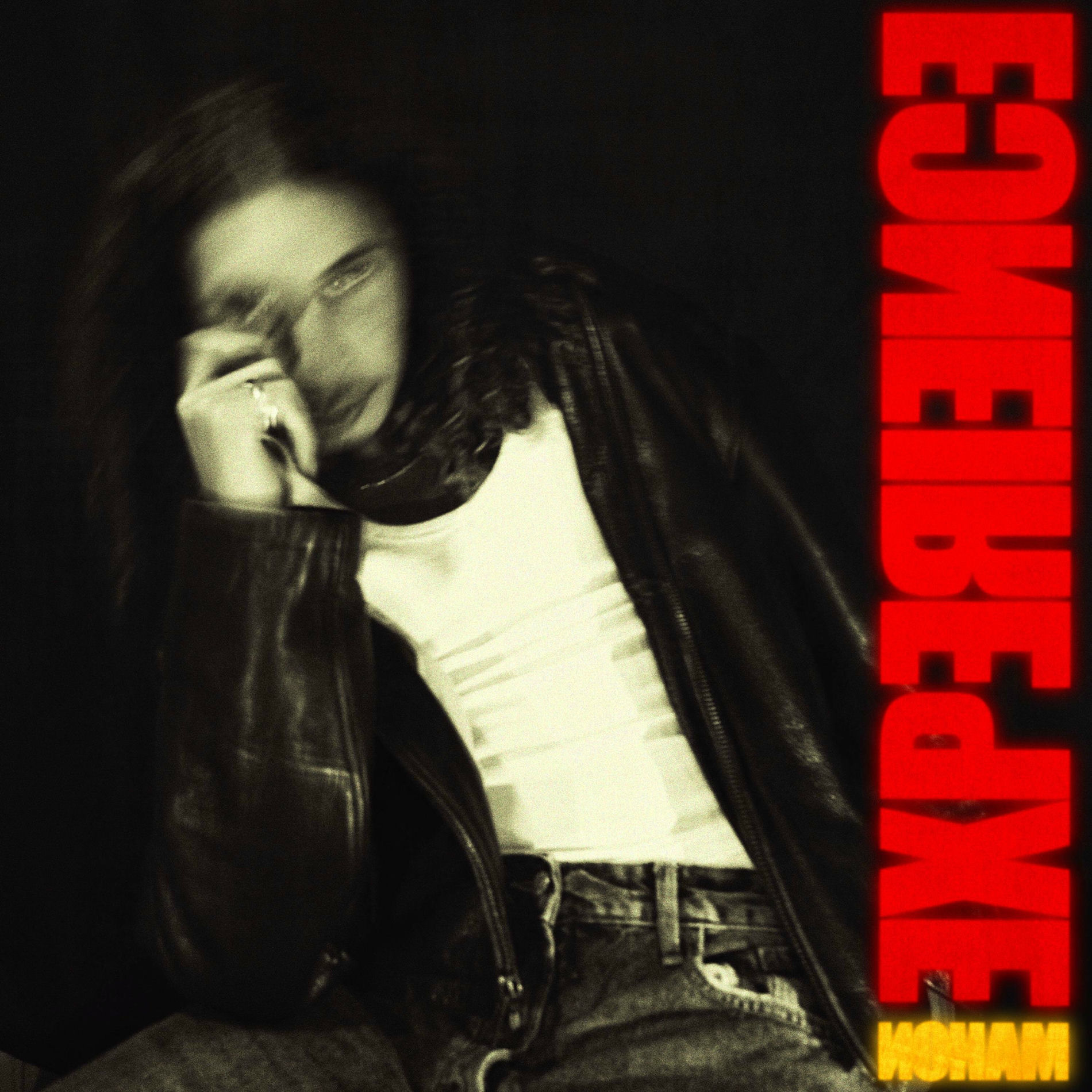 Album cover of Nightshot