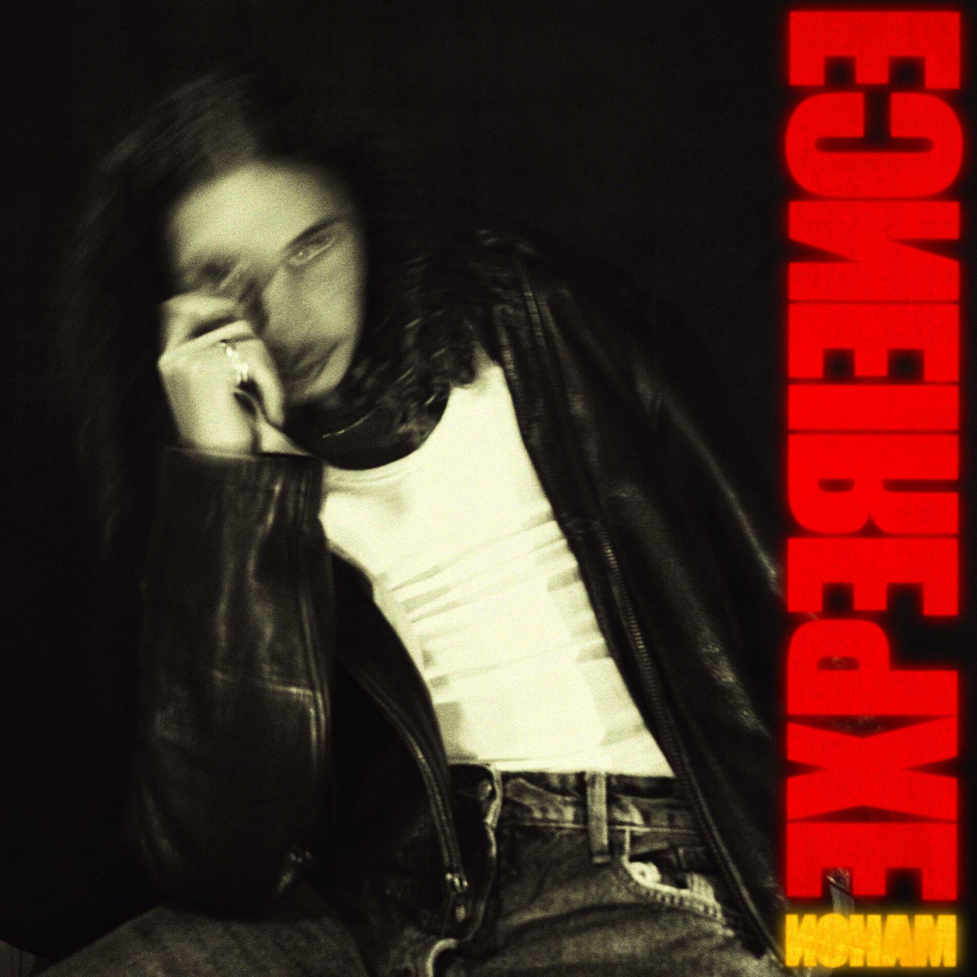 Album cover of EXPERIENCE