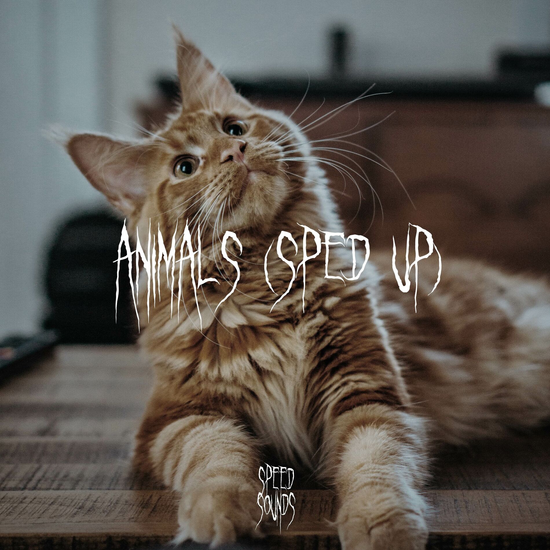 Album cover of Animals (Sped Up)