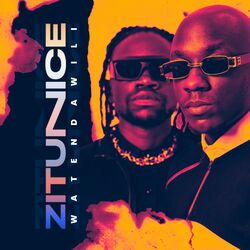 Cover of Zitunice