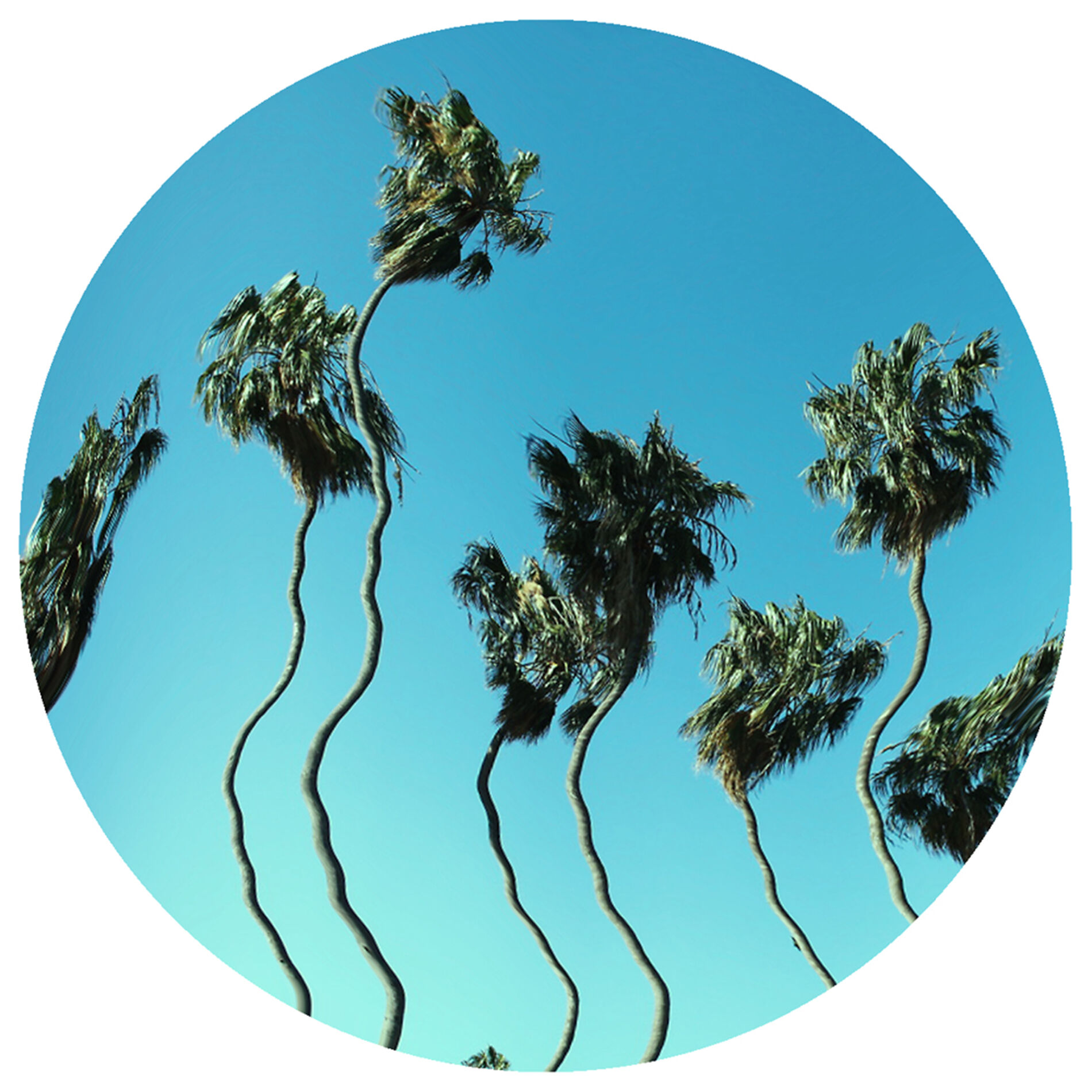 Album cover of Waiting