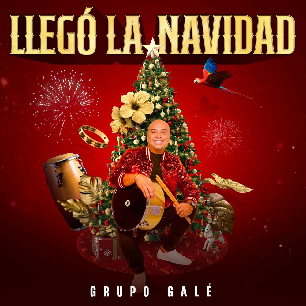 Picture of Llegó La Navidad