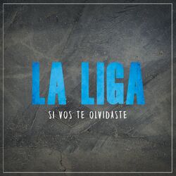 Cover of Si Vos Te Olvidaste