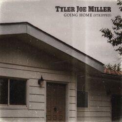 Cover of Going Home (Stripped)