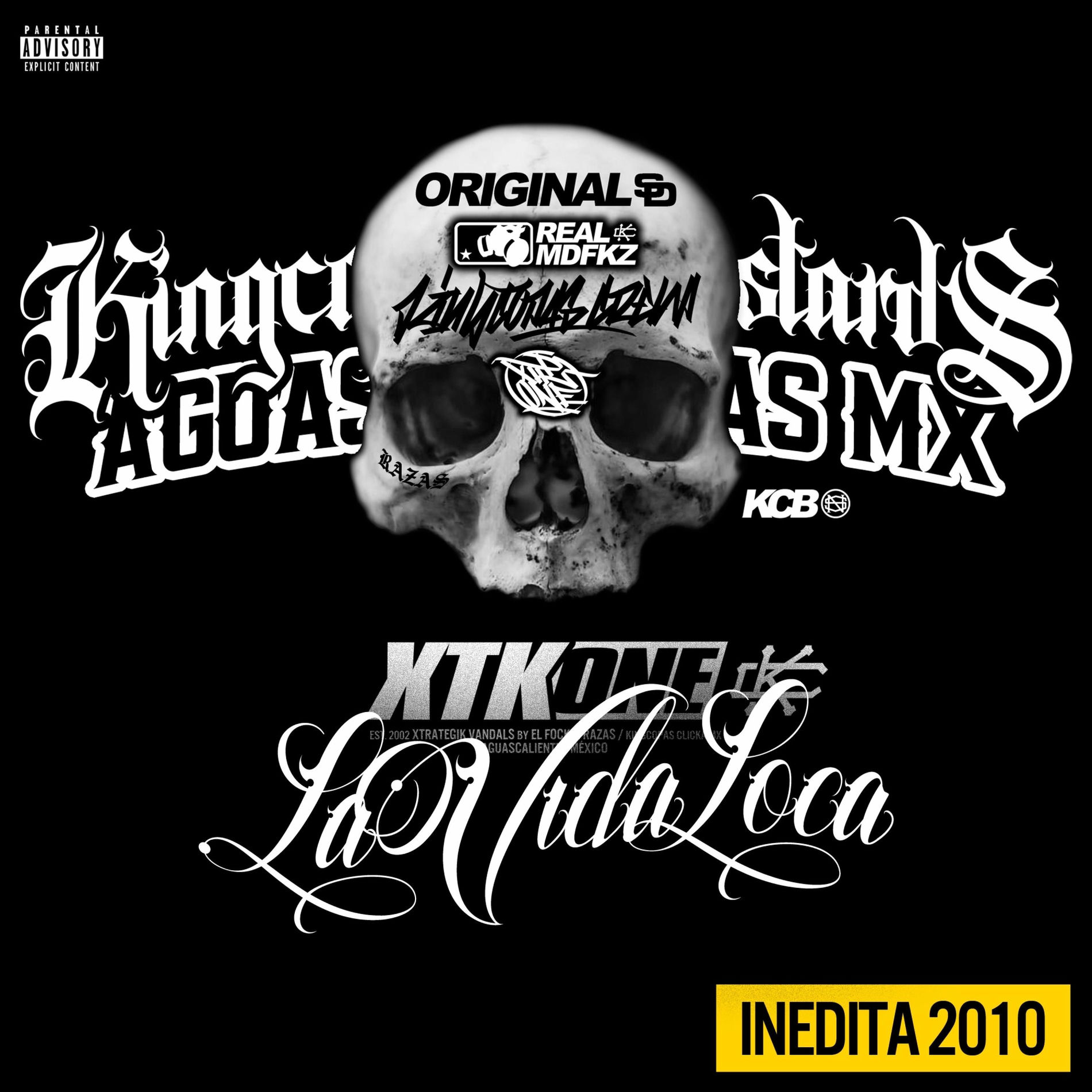 Album cover of la vida loca INEDITA 2010