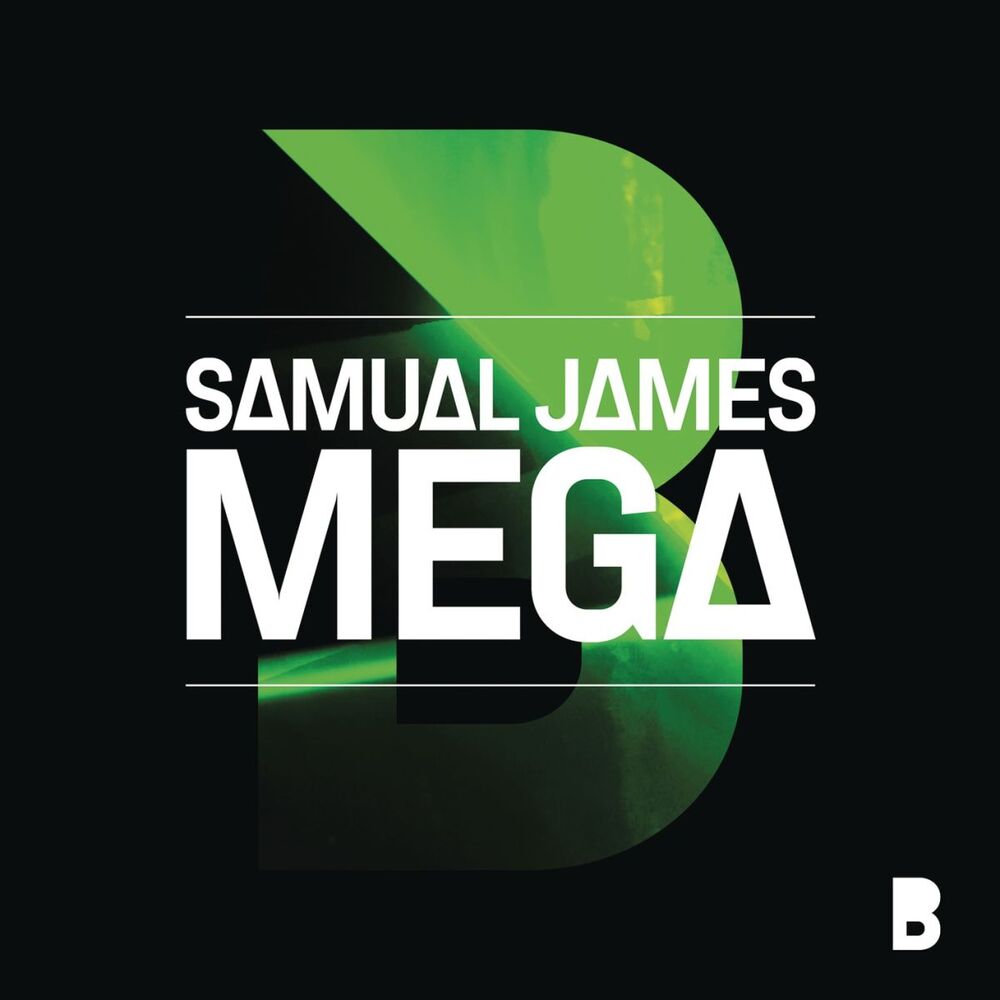 Picture of Mega