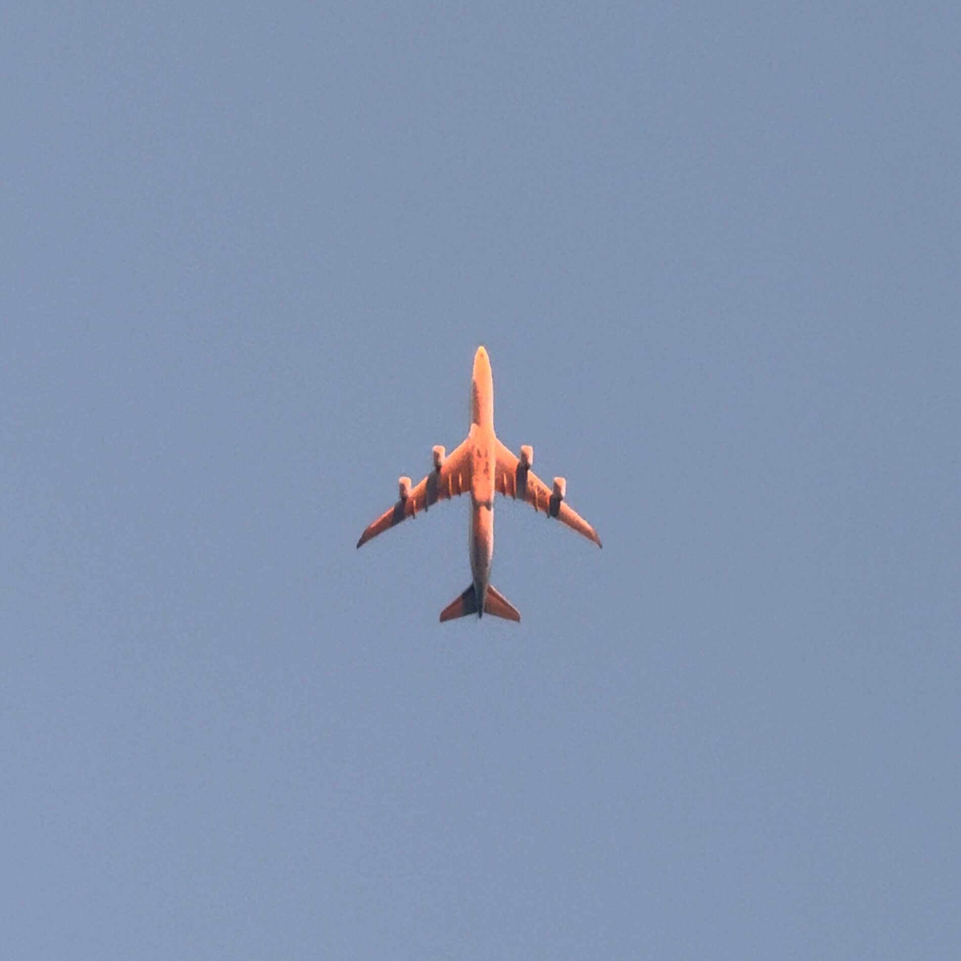 Album cover of Night Jet