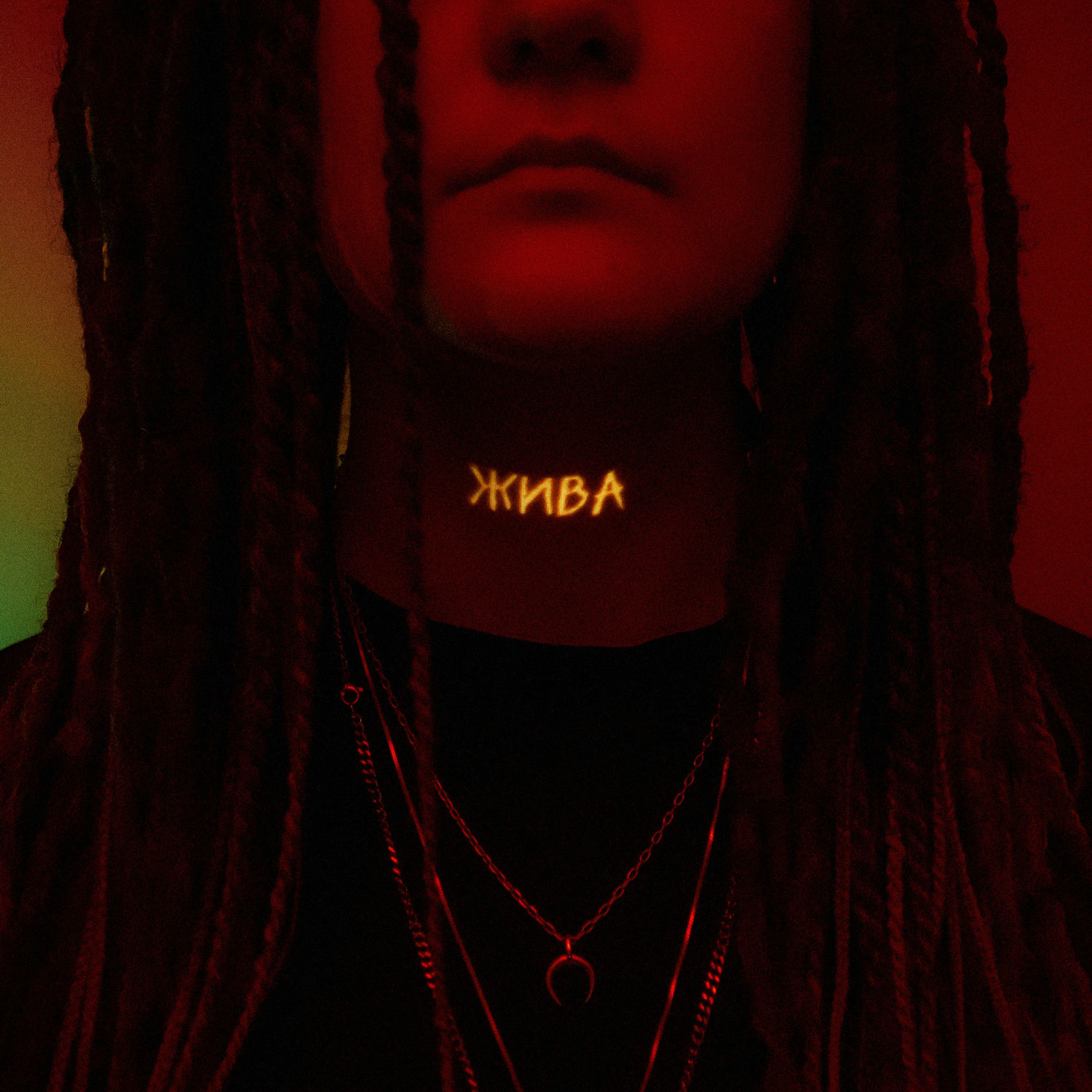 Album cover of Жива